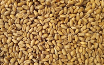 Запуск интернет-маркетинга с нуля